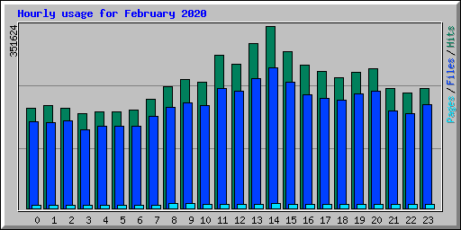 Hourly usage for February 2020